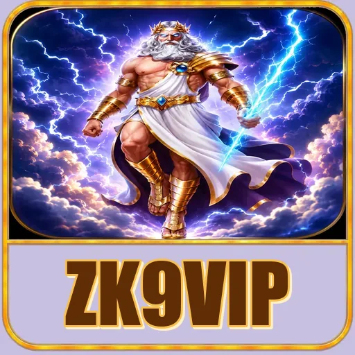 Troubleshooting zk9vip